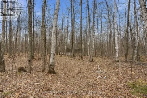 00 Part Of Lot 11 Gagne Road Clarence-rockland ON K0A 2A0