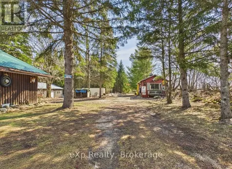 541354 14 Corners West Grey ON N0G 1L0