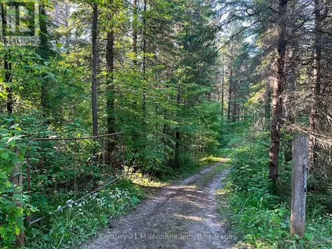627383 15 Side Road Mulmur ON L0N 1M0