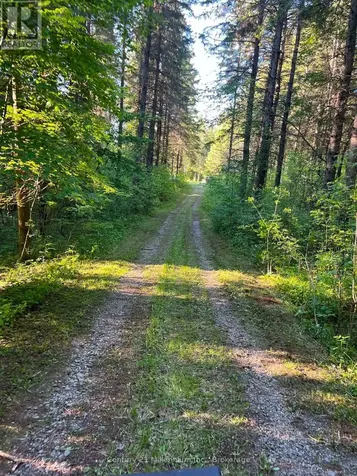 627383 15 Side Road Mulmur ON L0N 1M0