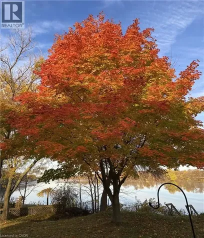 1042 River Road Cayuga ON N0A 1E0