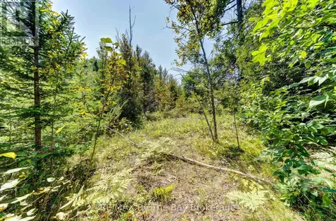 Lot 55 55th Street South Wasaga Beach ON L9Z 1X1