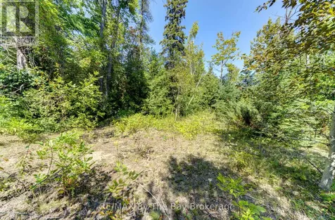 Lot 55 55th Street South Wasaga Beach ON L9Z 1X1