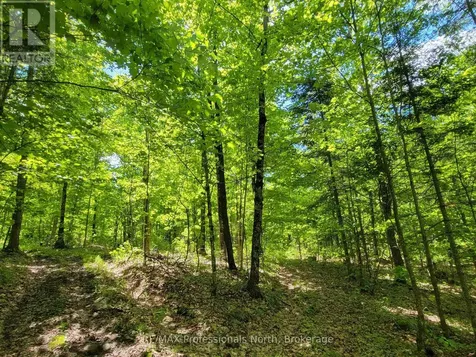 0 Dufferin Street South River ON P0A 1X0
