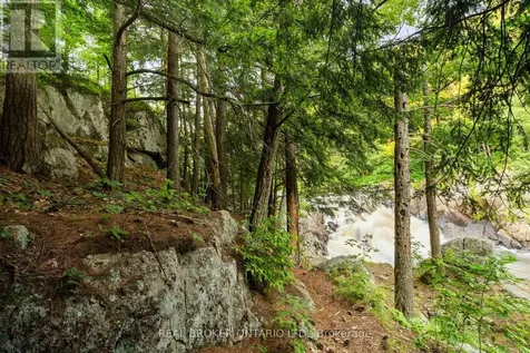 1401 Coopers Falls Road Ramara ON L0K 2B0