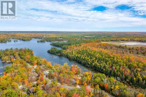 68 Irwin Drive Trent Lakes ON K0L 1J0