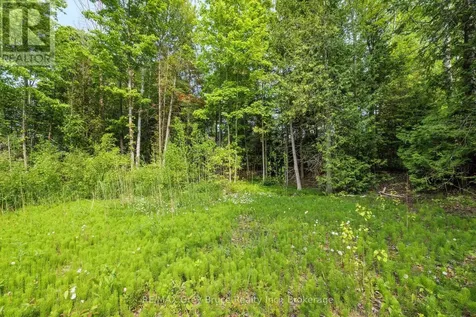 425 Dufferin Avenue South Bruce Peninsula ON N0H 2G0