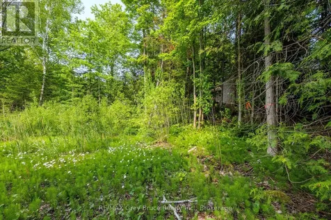 425 Dufferin Avenue South Bruce Peninsula ON N0H 2G0