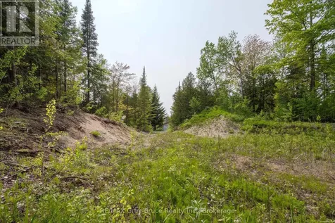 425 Dufferin Avenue South Bruce Peninsula ON N0H 2G0