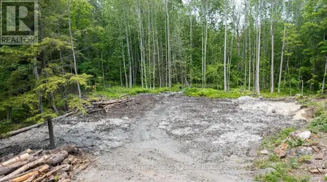 40 Sunnyshore Park Drive Mckellar ON P2A 0B5