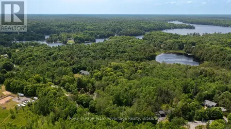 40 Sunnyshore Park Drive Mckellar ON P2A 0B5