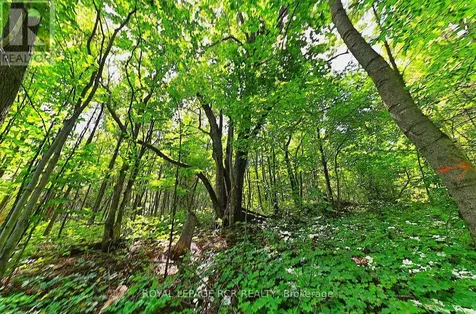 1614 Nottawasaga Concession Road 10 Clearview ON N0C 1M0