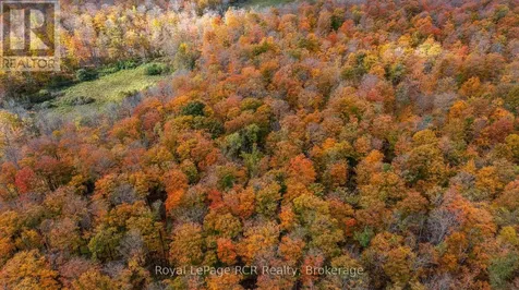 00 9th Line Grey Highlands ON N0C 1H0