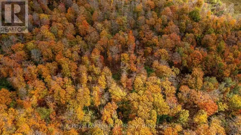 00 9th Line Grey Highlands ON N0C 1H0