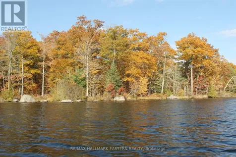 C280 Lower Buckhorn Lake Trent Lakes ON K0L 1J0