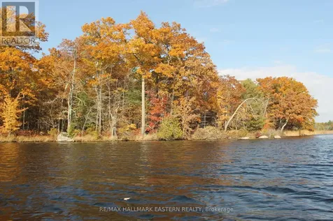 C280 Lower Buckhorn Lake Trent Lakes ON K0L 1J0