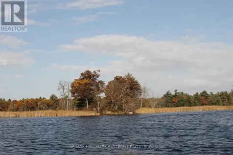 C280 Lower Buckhorn Lake Trent Lakes ON K0L 1J0