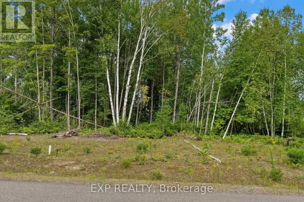 14 Birchview Drive Madawaska Valley ON K0J 1B0