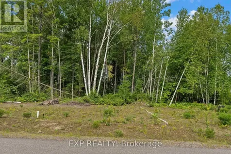 14 Birchview Drive Madawaska Valley ON K0J 1B0