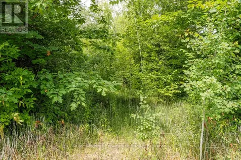 264 Peek-a-boo Trail Tiny ON L9M 0B3