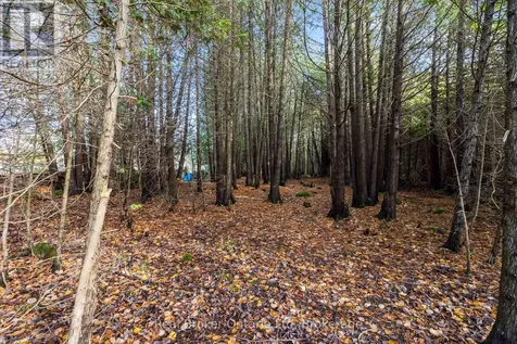 362120 16 Corners Georgian Bluffs ON N0H 1P0