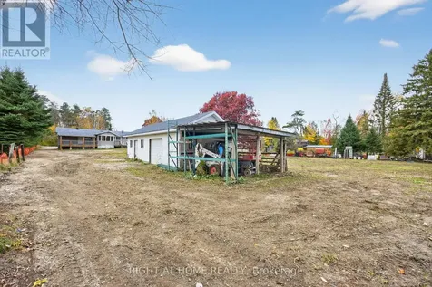 207 Scarlett Line Oro-medonte ON L0L 1V0