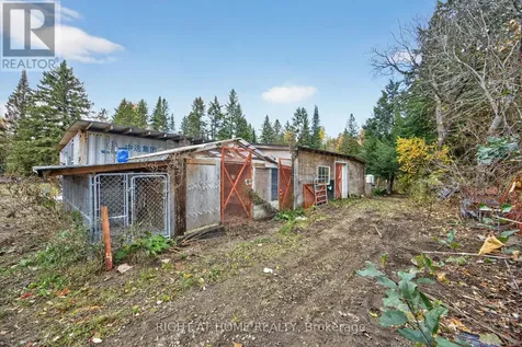207 Scarlett Line Oro-medonte ON L0L 1V0