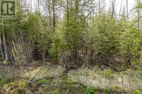 Lot 438 Champlain Road Tiny ON L9M 1S5