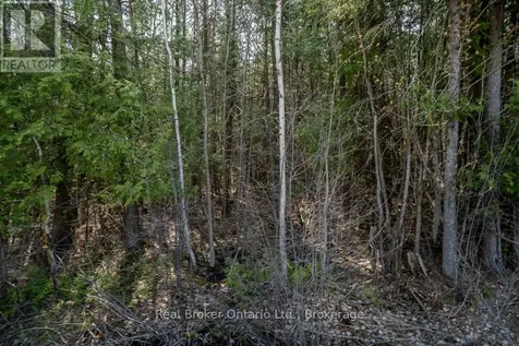 Lot 438 Champlain Road Tiny ON L9M 1S5