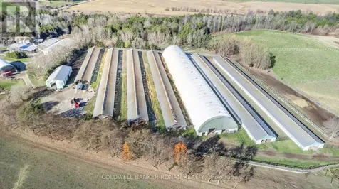 5735 Concession Road 6 Adjala-tosorontio ON L0M 1J0