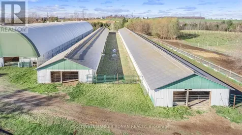 5735 Concession Road 6 Adjala-tosorontio ON L0M 1J0