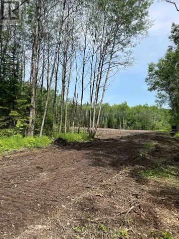 Lot 33 Rutherglen Line Bonfield ON P0H 2E0