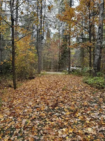 77 Grindstone Road Magnetawan ON P0A 1Z0