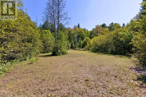 0 Hudson Trail Bonnechere Valley ON K0J 1M0