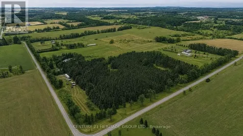 5227 3rd Line New Tecumseth ON L0G 1W0