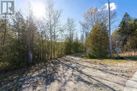 6361 16th Line Minto ON N0G 1M0