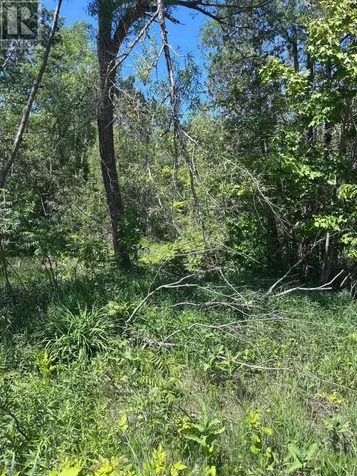 1382 Wilson Point Road Orillia ON L3V 0G7
