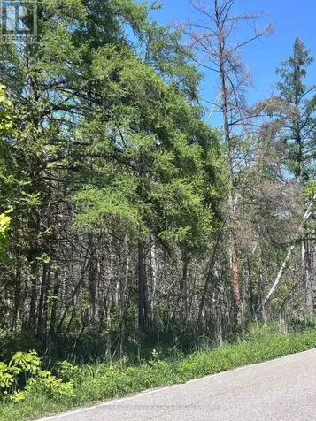 1382 Wilson Point Road Orillia ON L3V 0G7