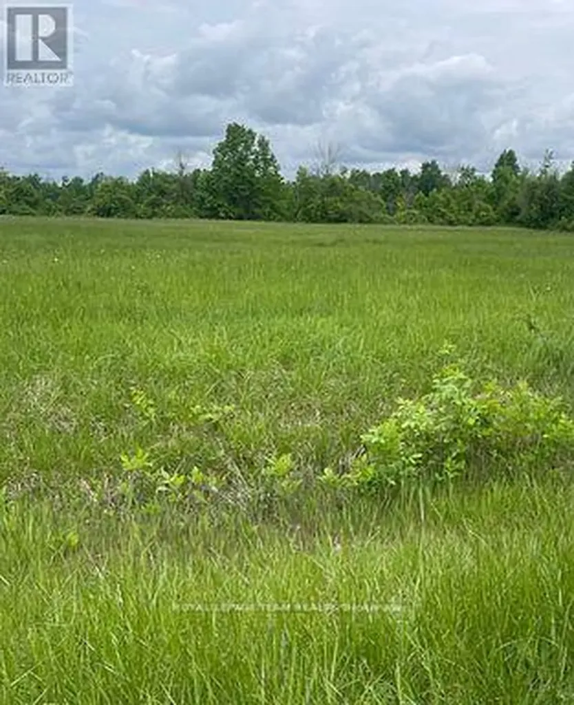 3447 Donnelly Drive North Ottawa ON K0G 1J0