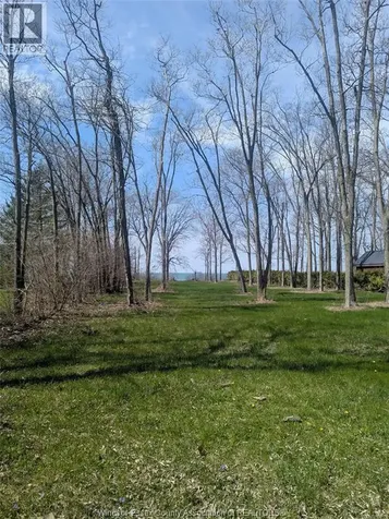 V/L Old Vine Road Pelee Island ON N0R 1M0