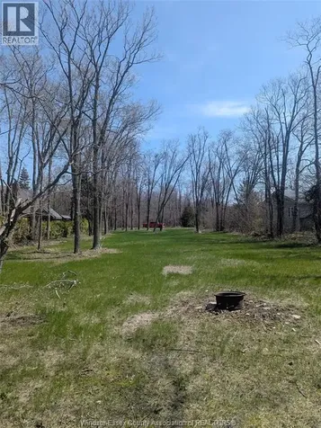 V/L Old Vine Road Pelee Island ON N0R 1M0