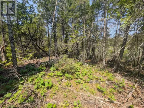 1226 Dorcas Bay Road Northern Bruce Peninsula ON N0H 2R0