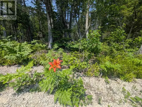 1226 Dorcas Bay Road Northern Bruce Peninsula ON N0H 2R0