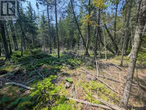 1226 Dorcas Bay Road Northern Bruce Peninsula ON N0H 2R0