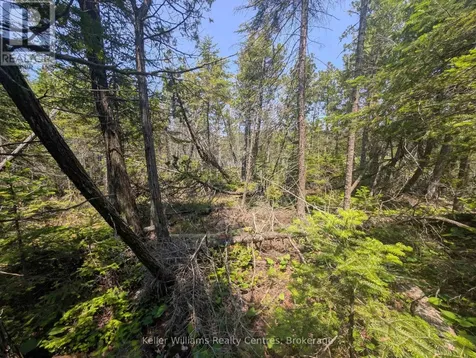 1226 Dorcas Bay Road Northern Bruce Peninsula ON N0H 2R0