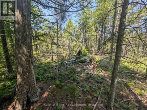 1226 Dorcas Bay Road Northern Bruce Peninsula ON N0H 2R0