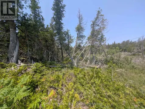 1226 Dorcas Bay Road Northern Bruce Peninsula ON N0H 2R0