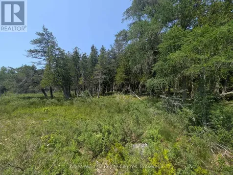 1226 Dorcas Bay Road Northern Bruce Peninsula ON N0H 2R0