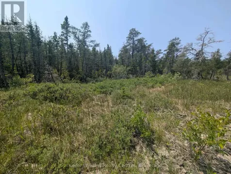 1226 Dorcas Bay Road Northern Bruce Peninsula ON N0H 2R0