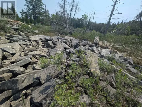 1226 Dorcas Bay Road Northern Bruce Peninsula ON N0H 2R0